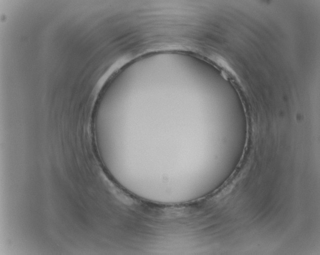 X0000075891181200610151743