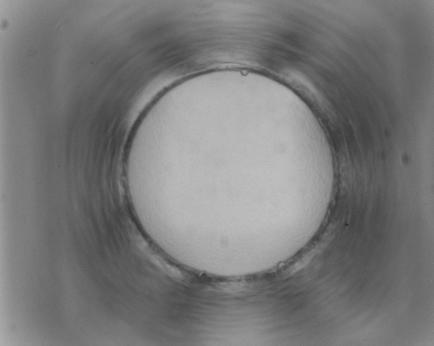 X0000075891182200610151743