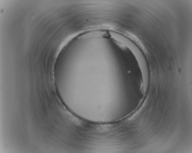 X0000075891184200610151743