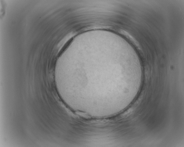 X0000075891185200610151743