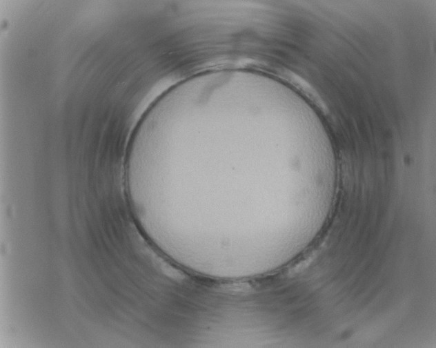 X0000075891186200610151743