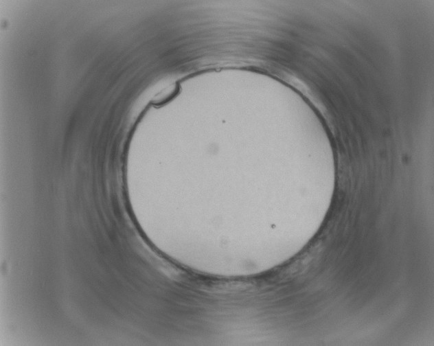 X0000075891187200610151743