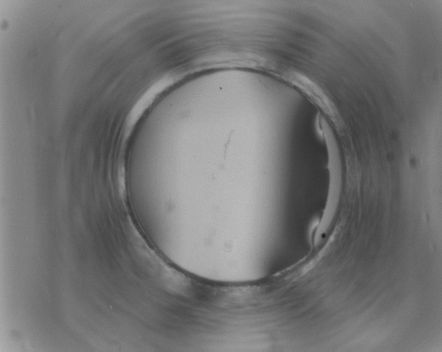 X0000075891188200610151743