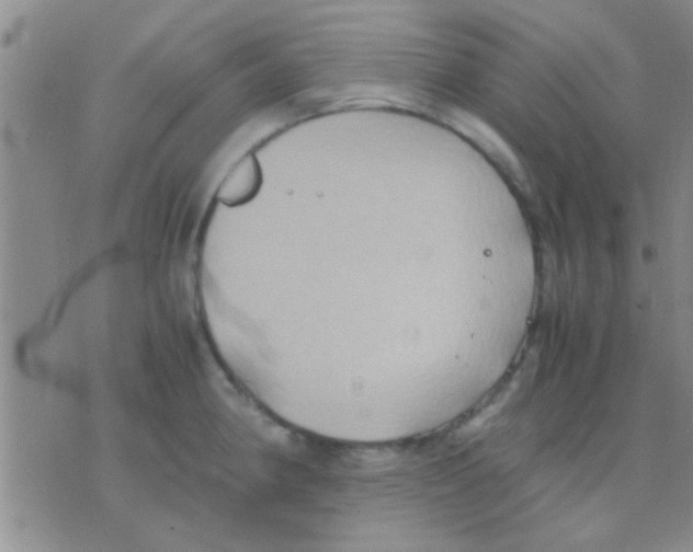 X0000075891190200610151743