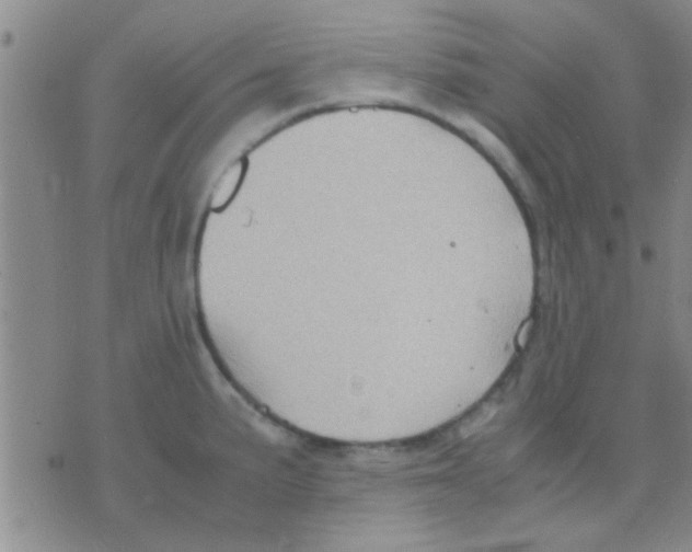 X0000075891191200610151743