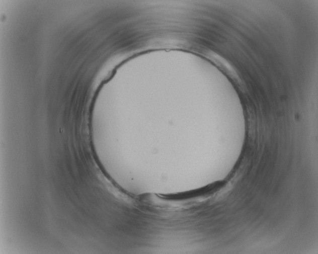 X0000075891192200610151743