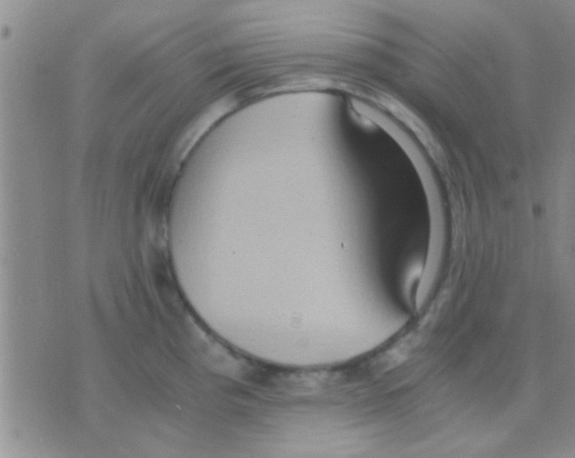 X0000075891193200610151743