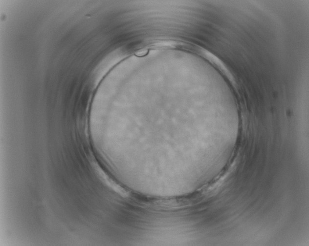 X0000075891194200610151743