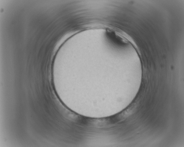 X0000075891195200610151743