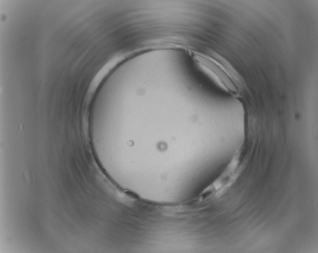 X0000075891196200610151743