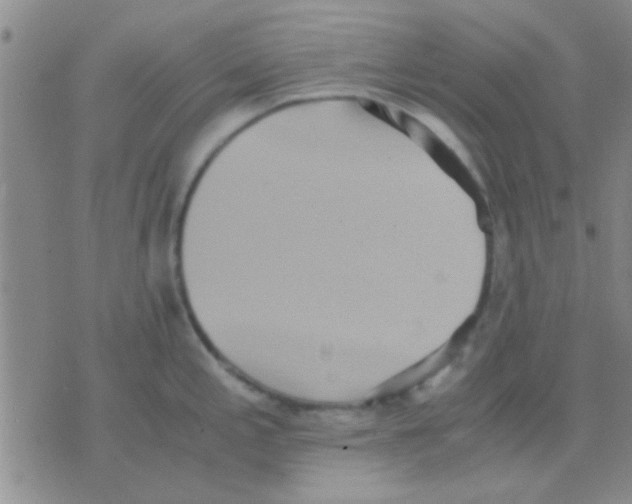 X0000075891197200610151743