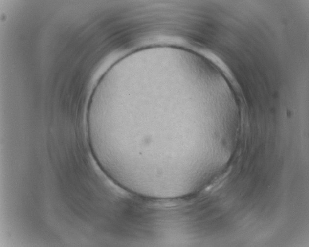 X0000075891199200610151743