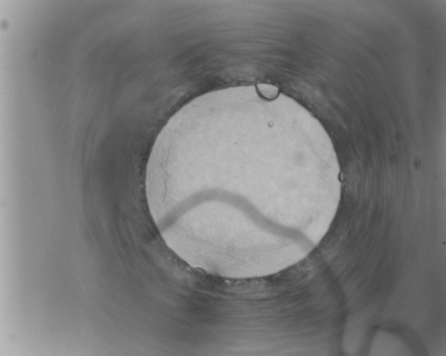 X0000075891201200610151742