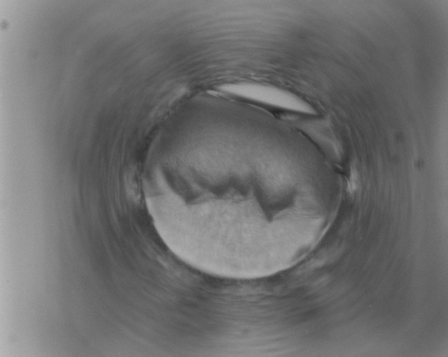 X0000075891202200610151742