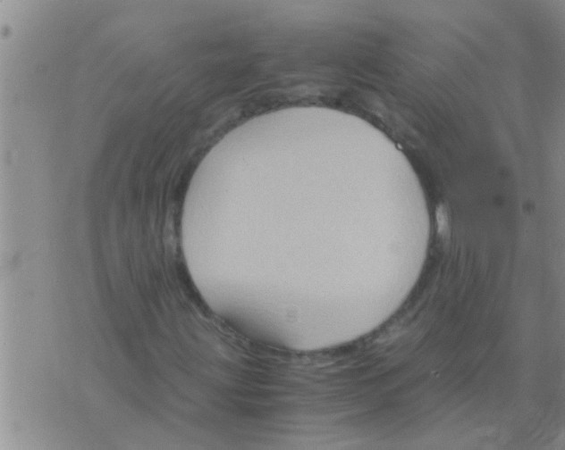 X0000075891203200610151742