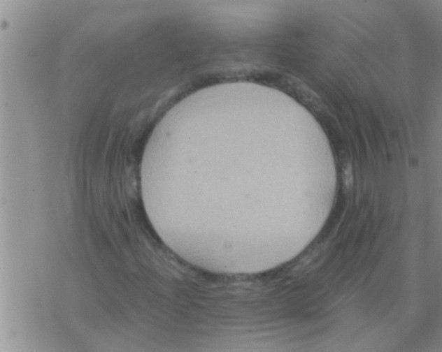 X0000075891204200610151742