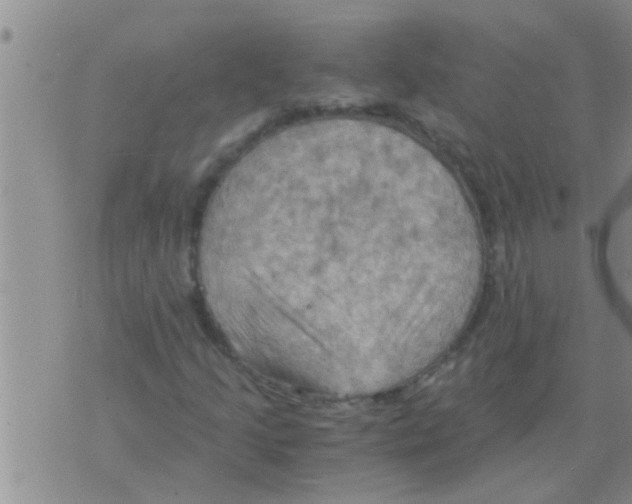 X0000075891205200610151742