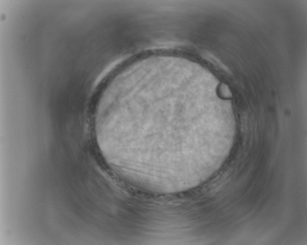 X0000075891208200610151742