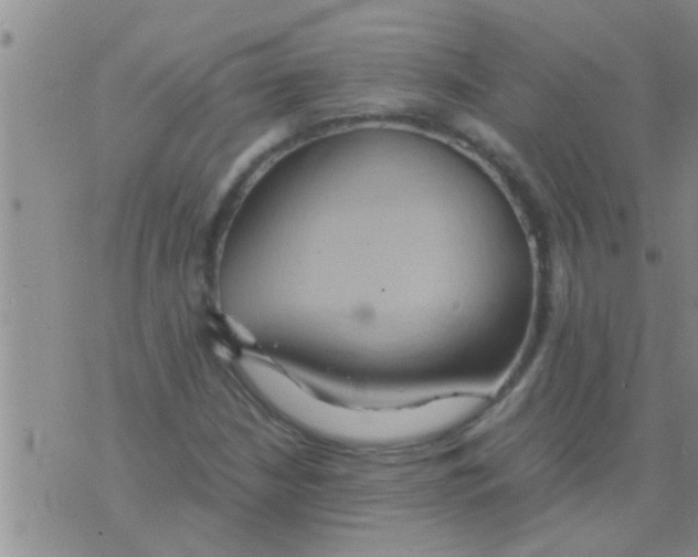 X0000075891210200610151742