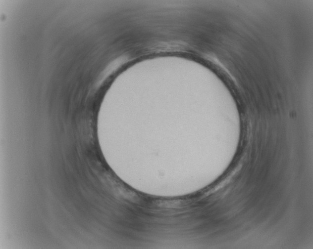 X0000075891211200610151742