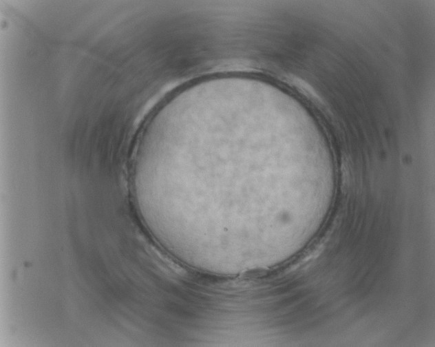 X0000075891212200610151743