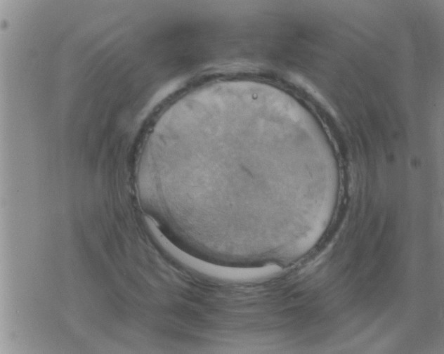 X0000075891213200610151743