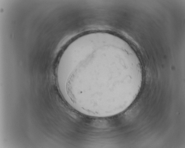 X0000075891215200610151743