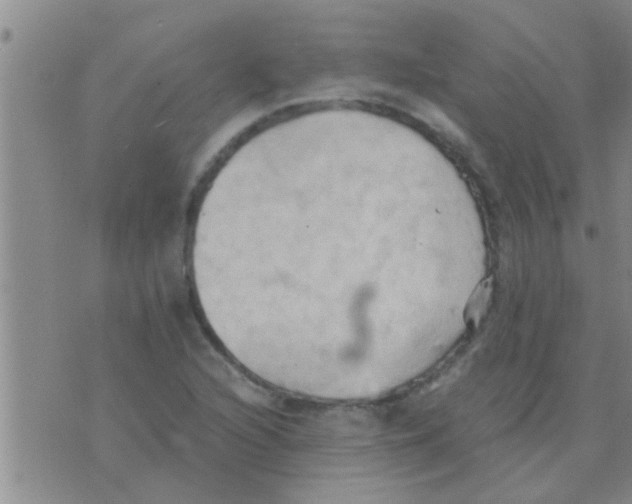 X0000075891216200610151743