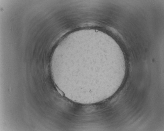 X0000075891217200610151743