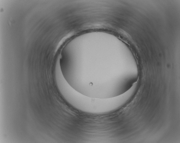 X0000075891218200610151743