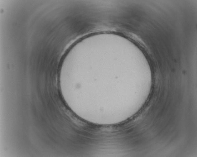 X0000075891220200610151743