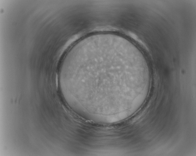 X0000075891221200610151743