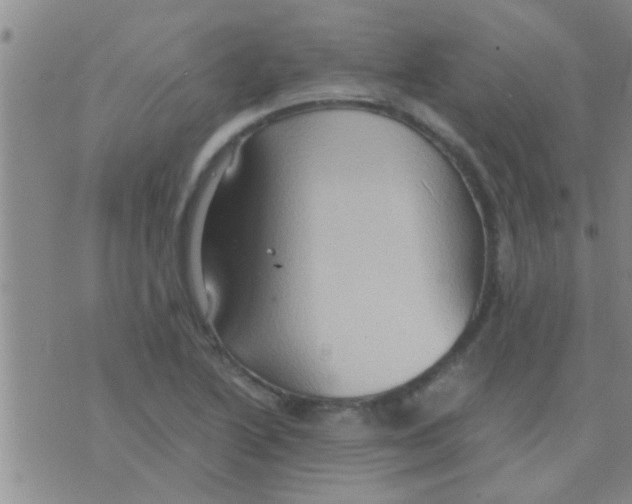 X0000075891222200610151743