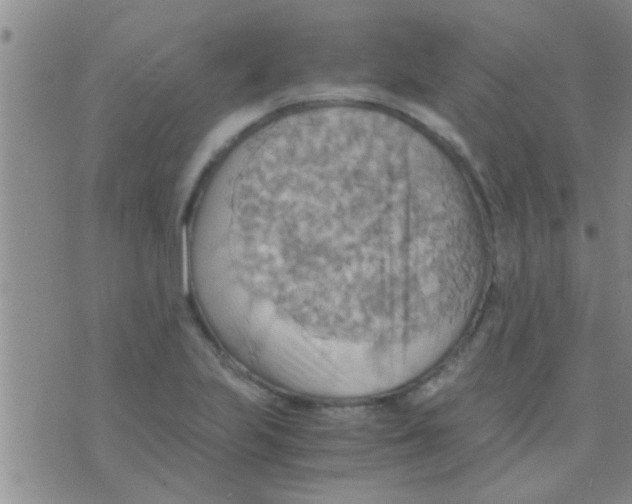 X0000075891223200610151743