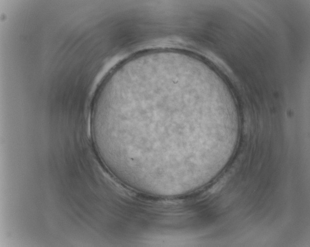 X0000075891224200610151743