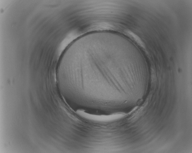 X0000075891226200610151743