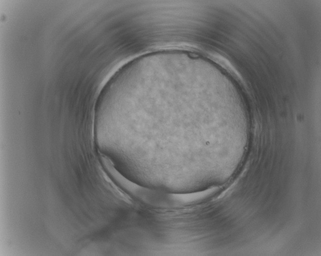 X0000075891228200610151743