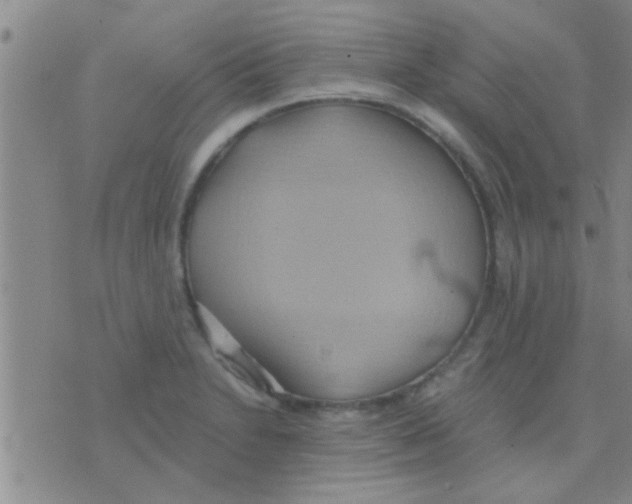 X0000075891230200610151743