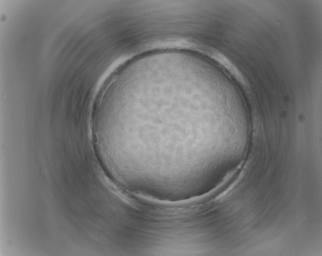 X0000075891232200610151743