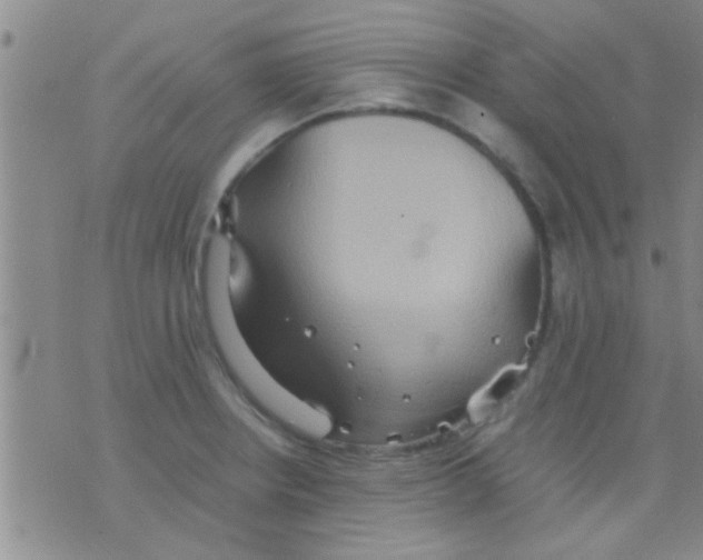 X0000075891234200610151743