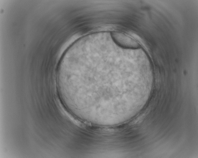 X0000075891235200610151743