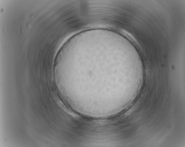 X0000075891236200610151743