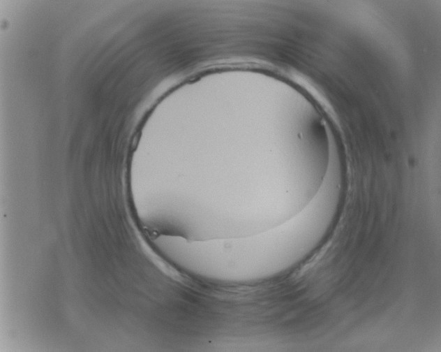 X0000075891237200610151743