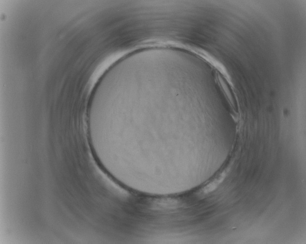 X0000075891239200610151743