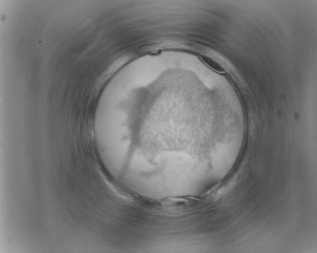 X0000075891241200610151743