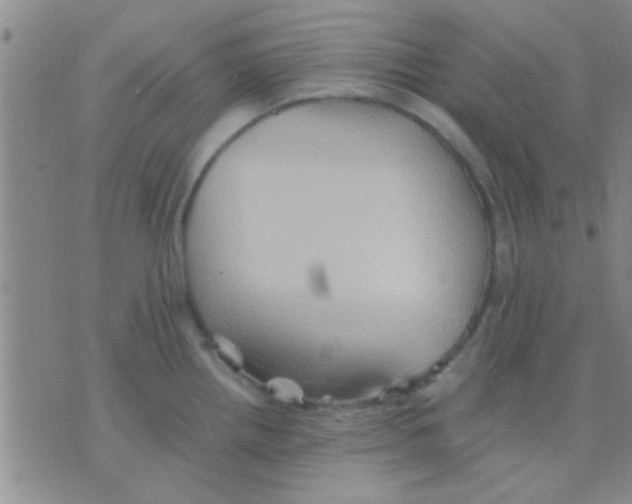 X0000075891242200610151743