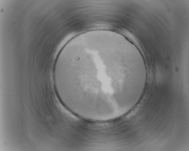 X0000075891243200610151743