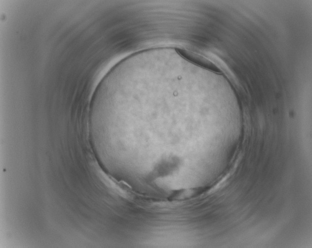 X0000075891244200610151743