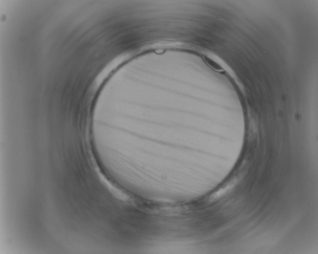 X0000075891245200610151743