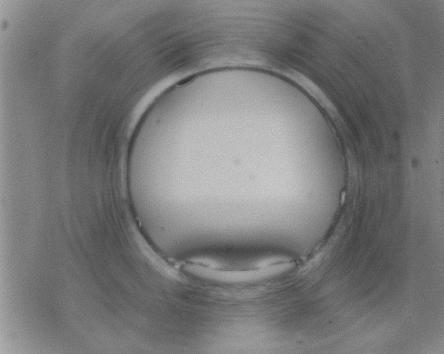 X0000075891246200610151743